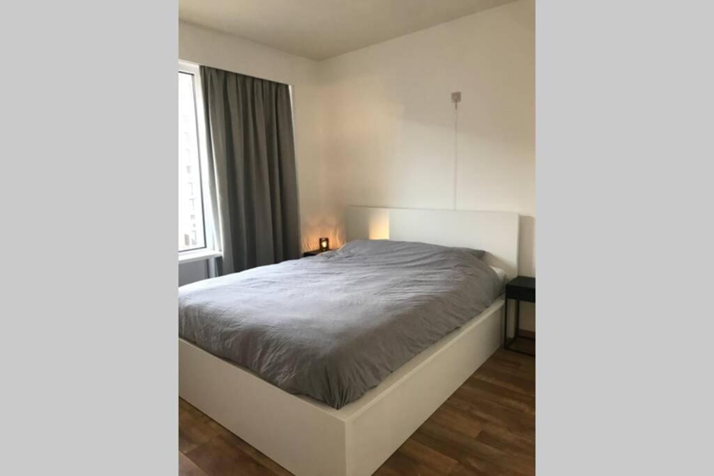 Zeedijk Appartement ניופורט מראה חיצוני תמונה